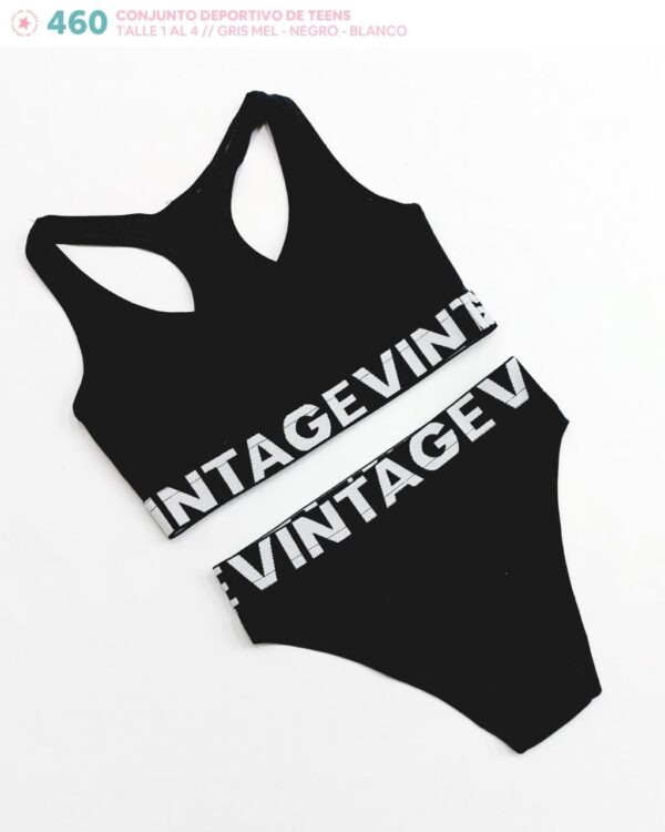 Vintage 460 - Imagen 2
